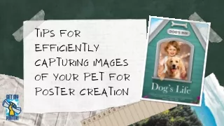 7 Tips for Efficiently Capturing Images of Your Pet for Poster Creation