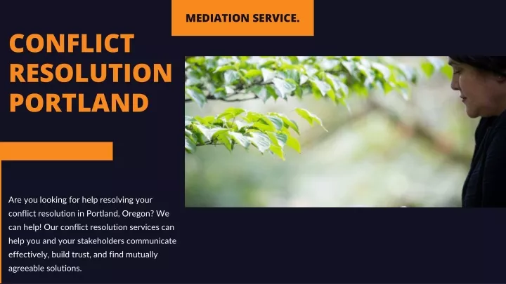 mediation service
