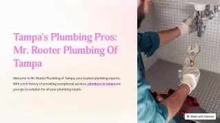 Find the best and Genuine Plumber In Tampa