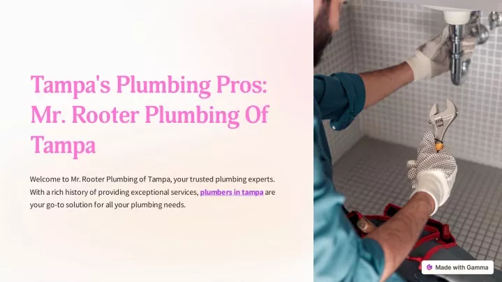 tampa s plumbing pros mr rooter plumbing of tampa