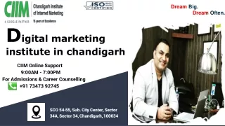 Digital marketing institute in chandigarh