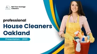 Professional House Cleaners in Dublin pdf