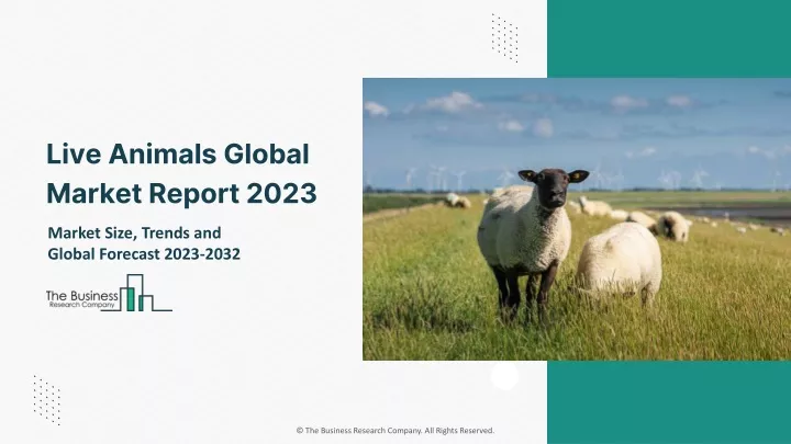 live animals global market report 2023