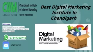 Best Digital Marketing Institute in Chandigarh