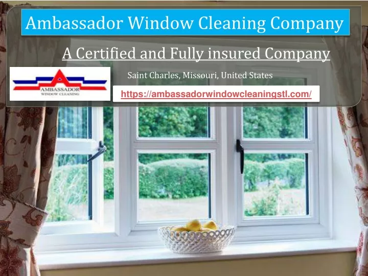 ambassador window cleaning company