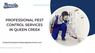 Professional Pest Control Services In Queen Creek