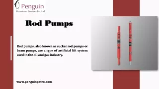 Rod Pumps