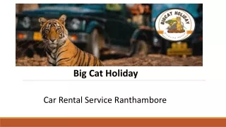 Car Rental Service Ranthambore | bigcatholiday.com