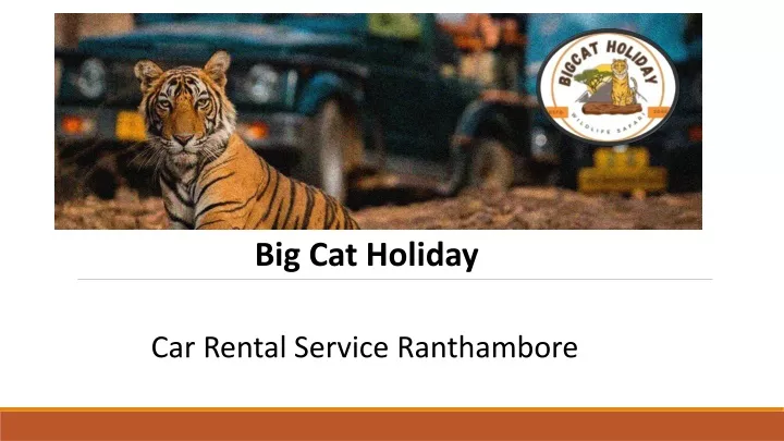 big cat holiday