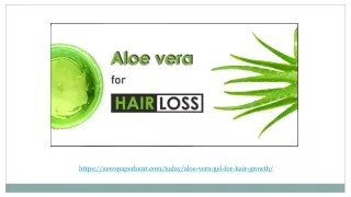 Aloe-vera-gel-for-hair-growth