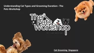 understanding cat types and grooming duration