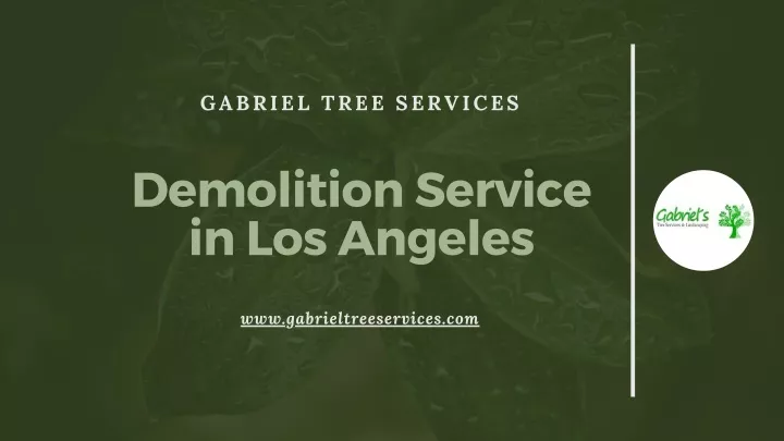 gabriel tree services