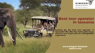 Best tour operator in tanzania