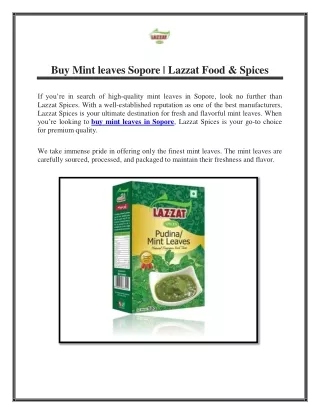Buy Mint leaves Sopore | Lazzat Food & Spices