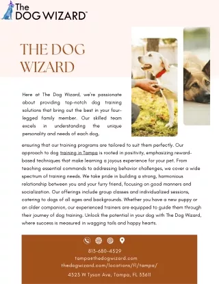 The Dog Wizard