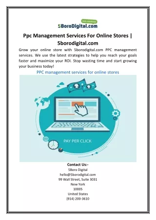 Ppc Management Services For Online Stores | 5borodigital.com