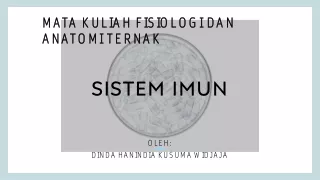 sistem imun