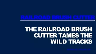 The Railroad Brush Cutter Tames the Wild Tracks