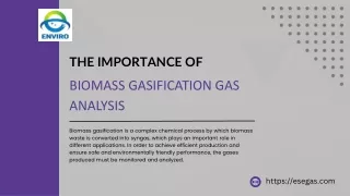 The Importance of Biomass Gasification Gas Analysis