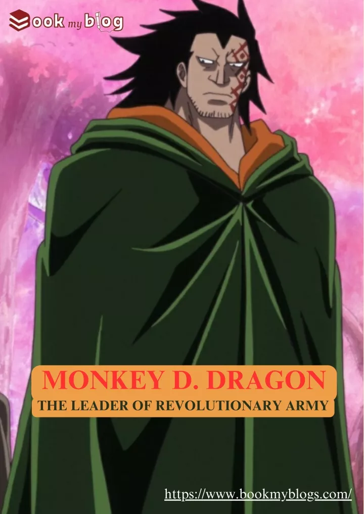 monkey d dragon the leader of revolutionary army