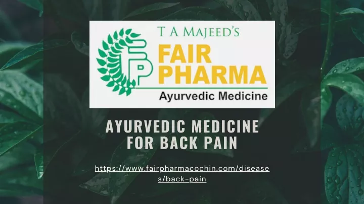 ayurvedic medicine for back pain