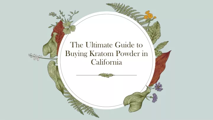 the ultimate guide to buying kratom powder