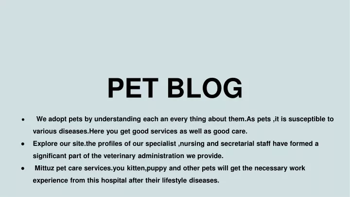 pet blog