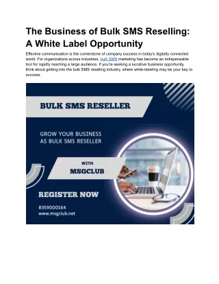 The Business of Bulk SMS Reselling_ A White Label Opportunity