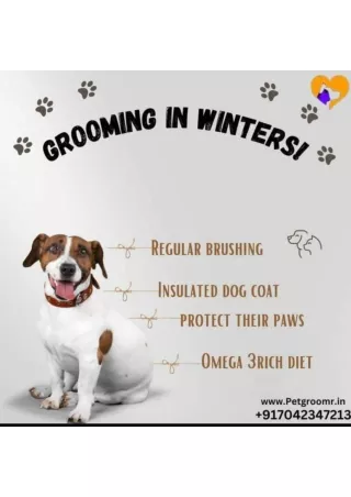 Pet Grooming Services Near Me At Home