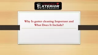 Why Is gutter cleaning Important and What Does