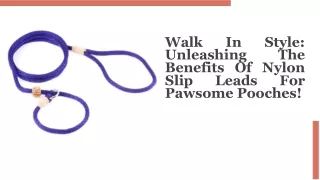 Walk In Style Unleashing The Benefits Of Nylon Slip Leads For Pawsome Pooches!