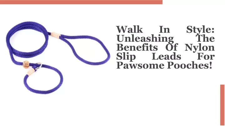 walk in style unleashing the benefits of nylon slip leads for pawsome pooches
