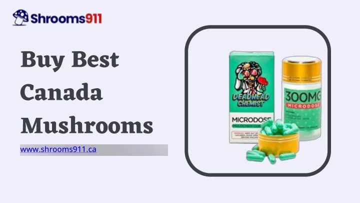 buy best canada mushrooms