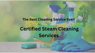 Reviving Spaces with Professional Steam Cleaning Services