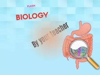 flash
