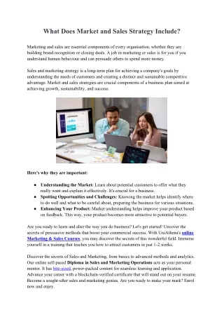 what does market and sales strategy include