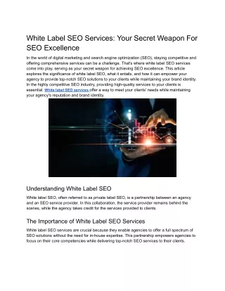 White Label SEO Services_ Your Secret Weapon for SEO Excellence