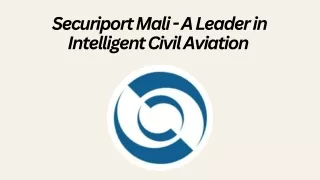 Securiport Mali - A Leader in Intelligent Civil Aviation