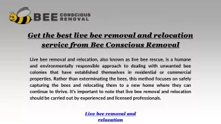 Get the best live bee removal and relocation service from Bee Conscious Removal
