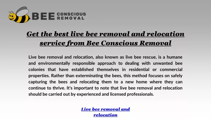 get the best live bee removal and relocation