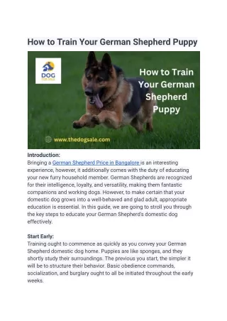 How to Train Your German Shepherd Puppy