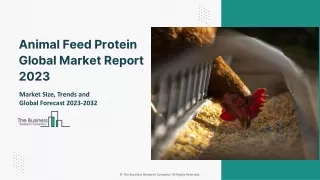 animal feed protein global market report 2023