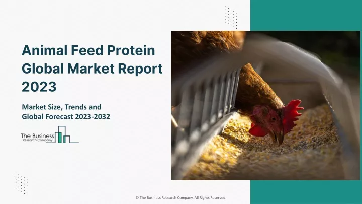 animal feed protein global market report 2023