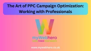 The Art of PPC Campaign Optimization Working with Professionals