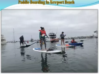 Paddle Boarding In Newport Beach