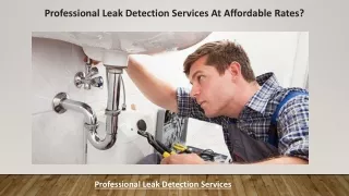 professional leak detection services