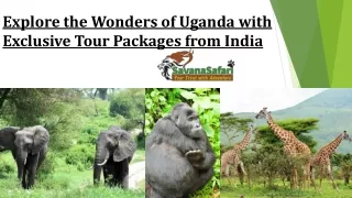 Explore the Wonders of Uganda with Exclusive Tour Packages from India