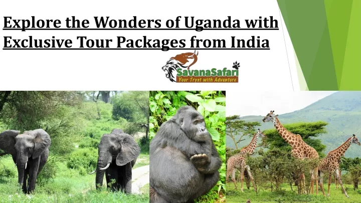 explore the wonders of uganda with exclusive tour