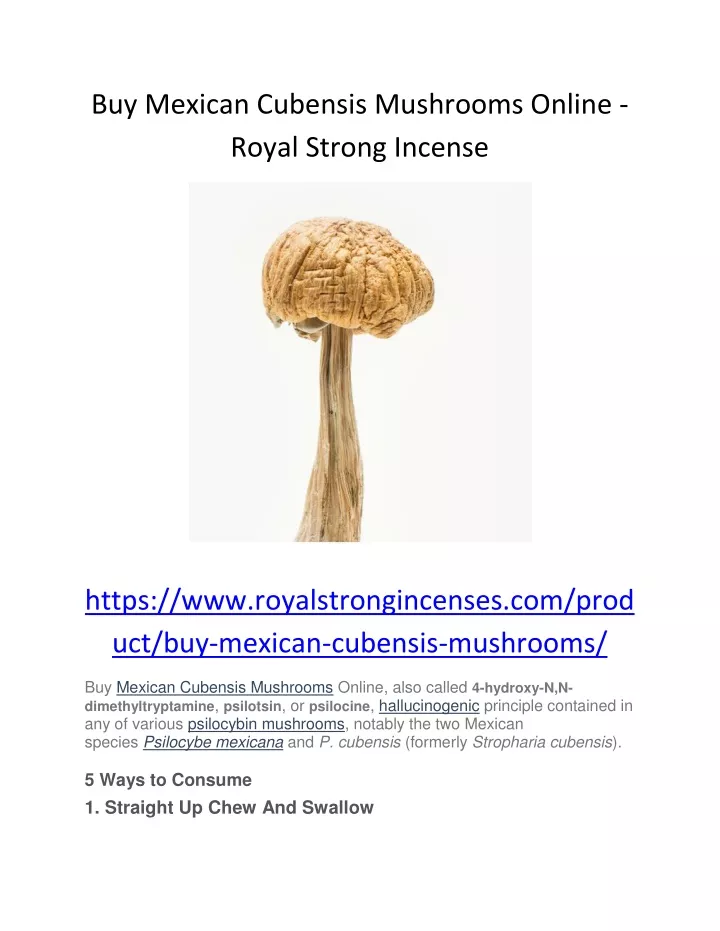 buy mexican cubensis mushrooms online royal