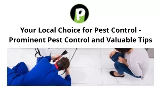 Your Local Choice for Pest Control - Prominent Pest Control and Valuable Tips